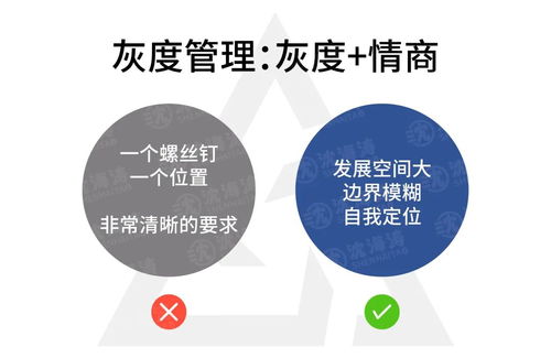 深度與洞察 無人能逃過的企業管理定律